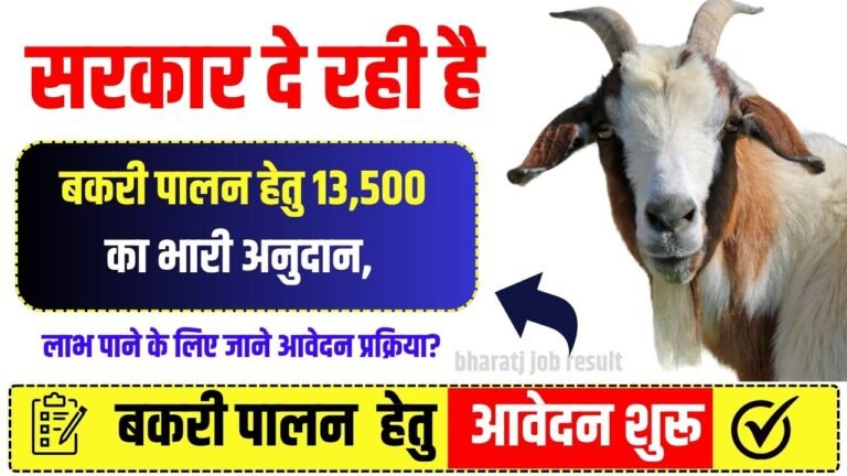 Bihar Bakri Palan Yojana 2024: ये सरकार दे रही है बकरी पालन हेतु 13,500 का भारी अनुदान, लाभ पाने के लिए जाने आवेदन प्रक्रिया?