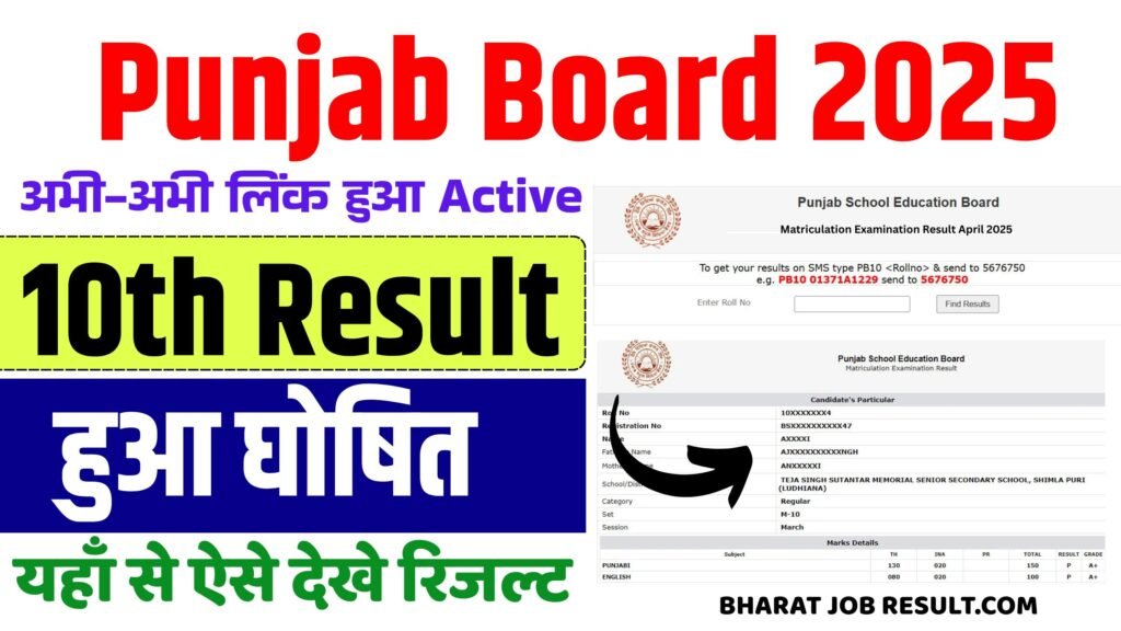 📢 Punjab Board 10th Result 2025 [Link Out]