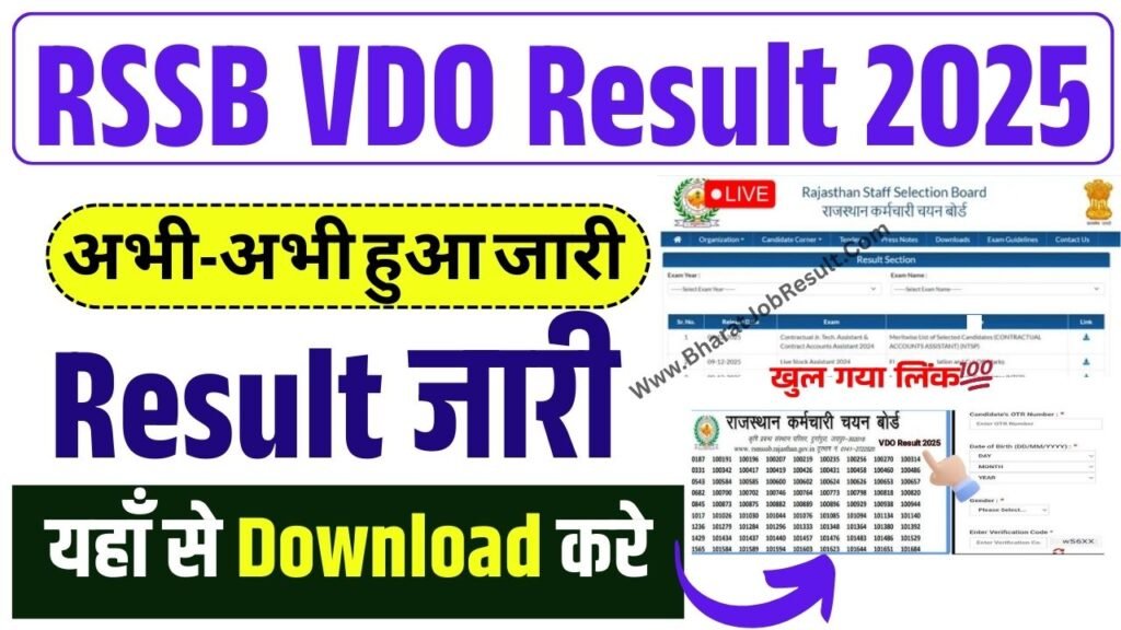 RSSB VDO Result 2025 Download Cut Off Released